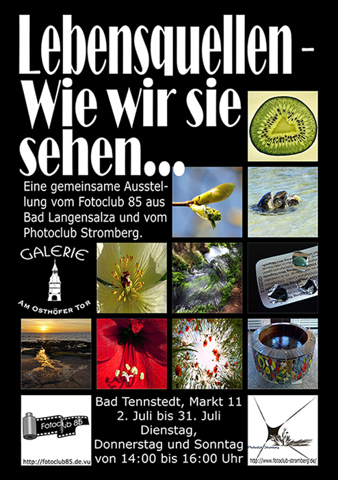 Ausstellung 2011-07